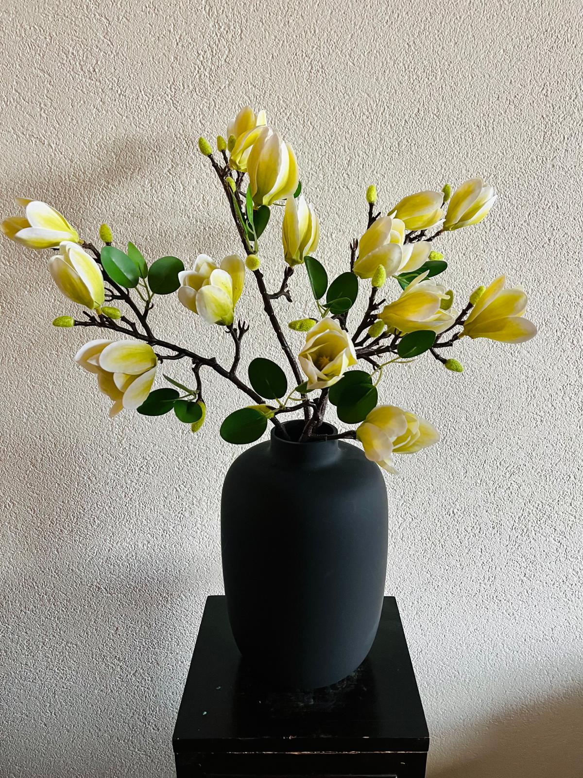 Magnolia Ivory