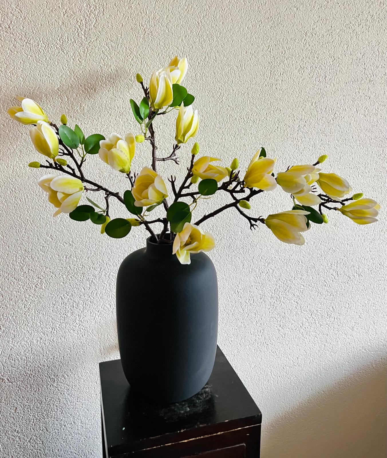 Magnolia Ivory