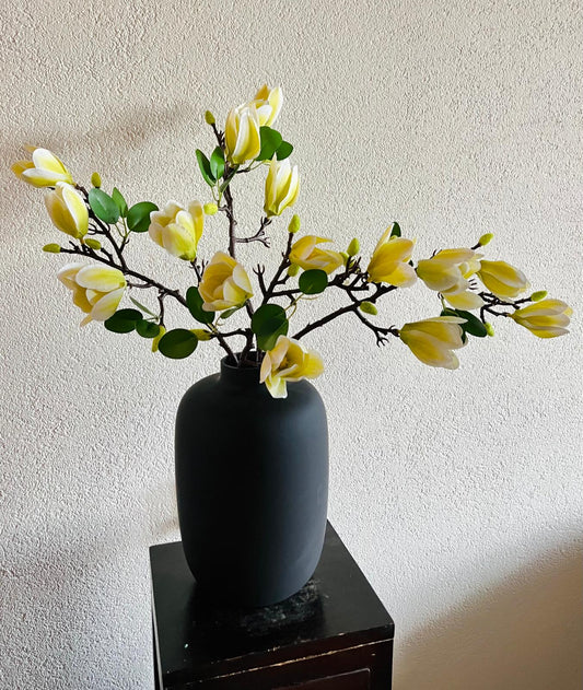 Magnolia Ivory